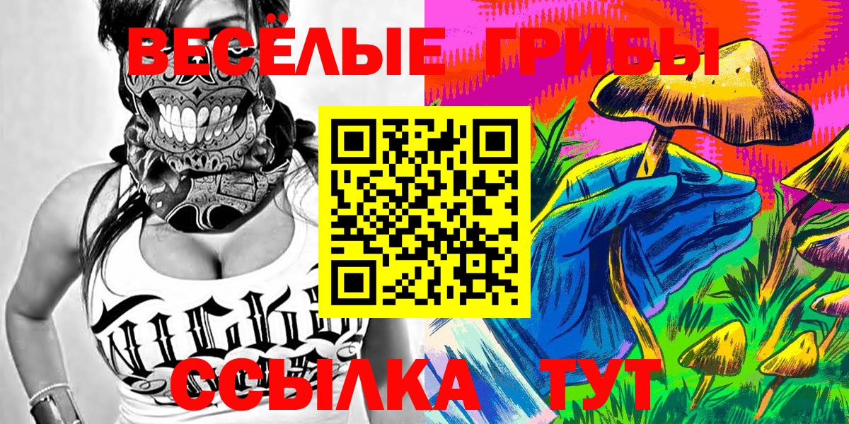 Галлюциногенные грибы мицелий  Вход с VPN  Гусев 